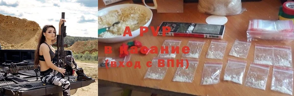 стаф Богородск