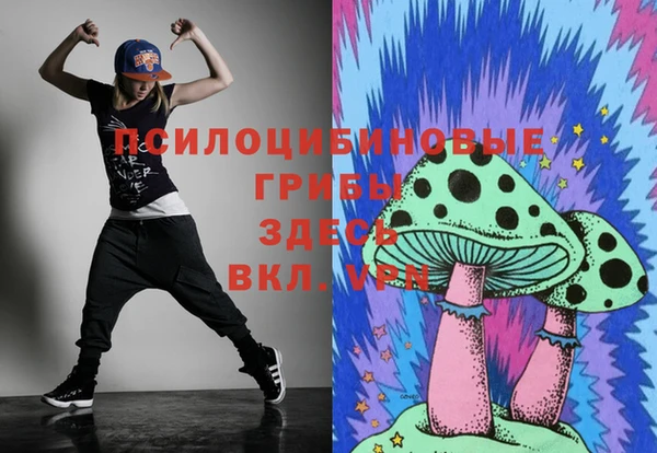 бошки Богородицк