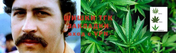 бошки Богородицк