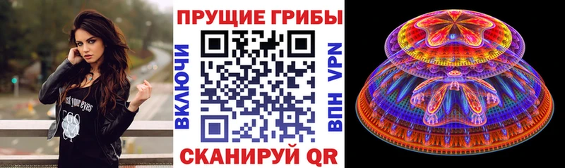 Галлюциногенные грибы мицелий  что такое   omg   Бутурлиновка 